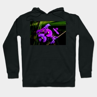 Purple Patch Hoodie